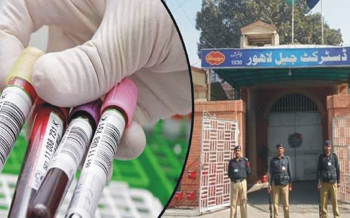 10_1784364790.jpg