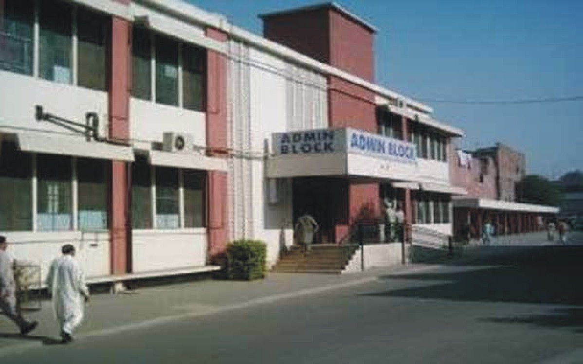 17_1785337570.jpg