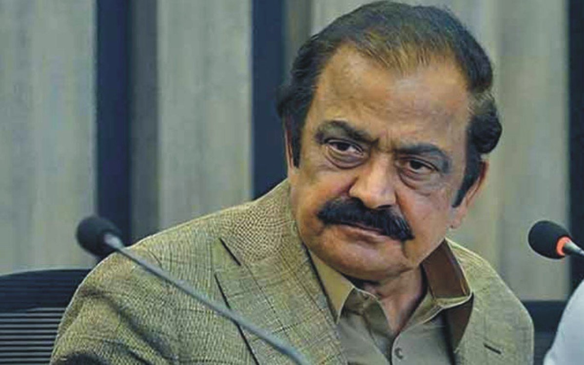 Rana_Sana_2_1770370649.jpg