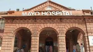 mayo_1769278152.jpg